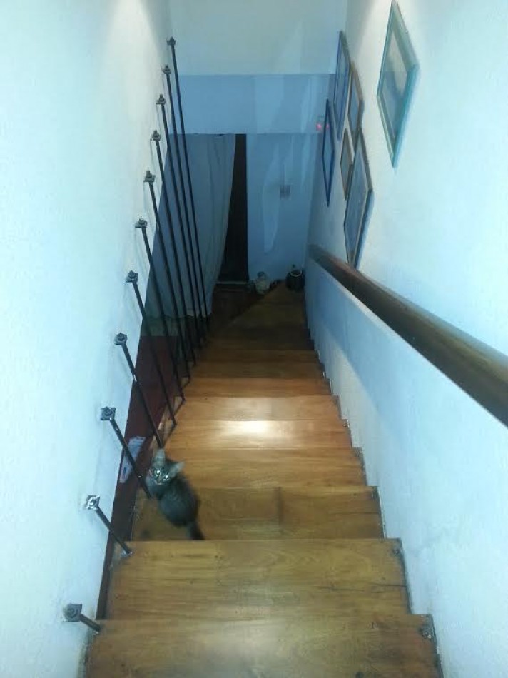 CHALET 5 AMBIENTES EN LOTE PROPIO. PARQUE LURO