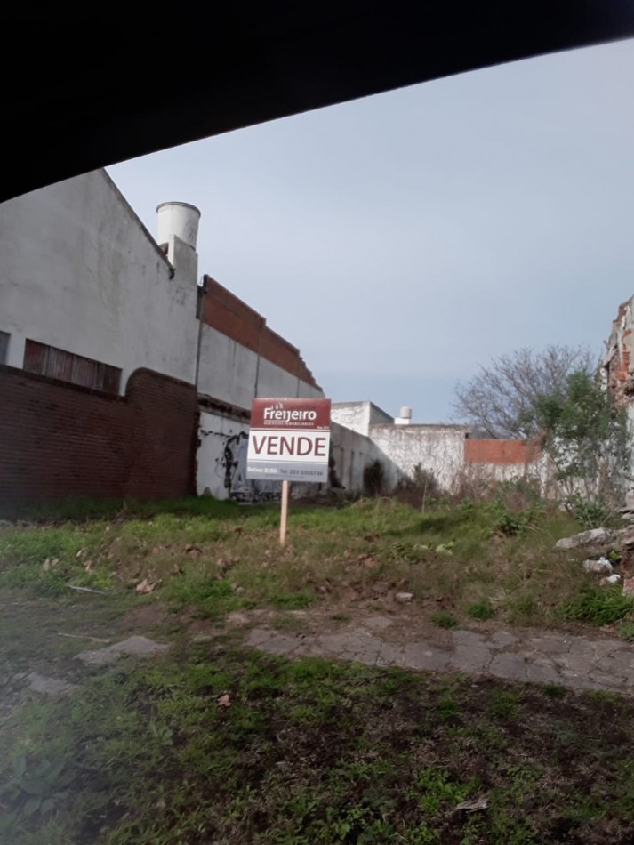 Lote. Bernardino Rivadavia.