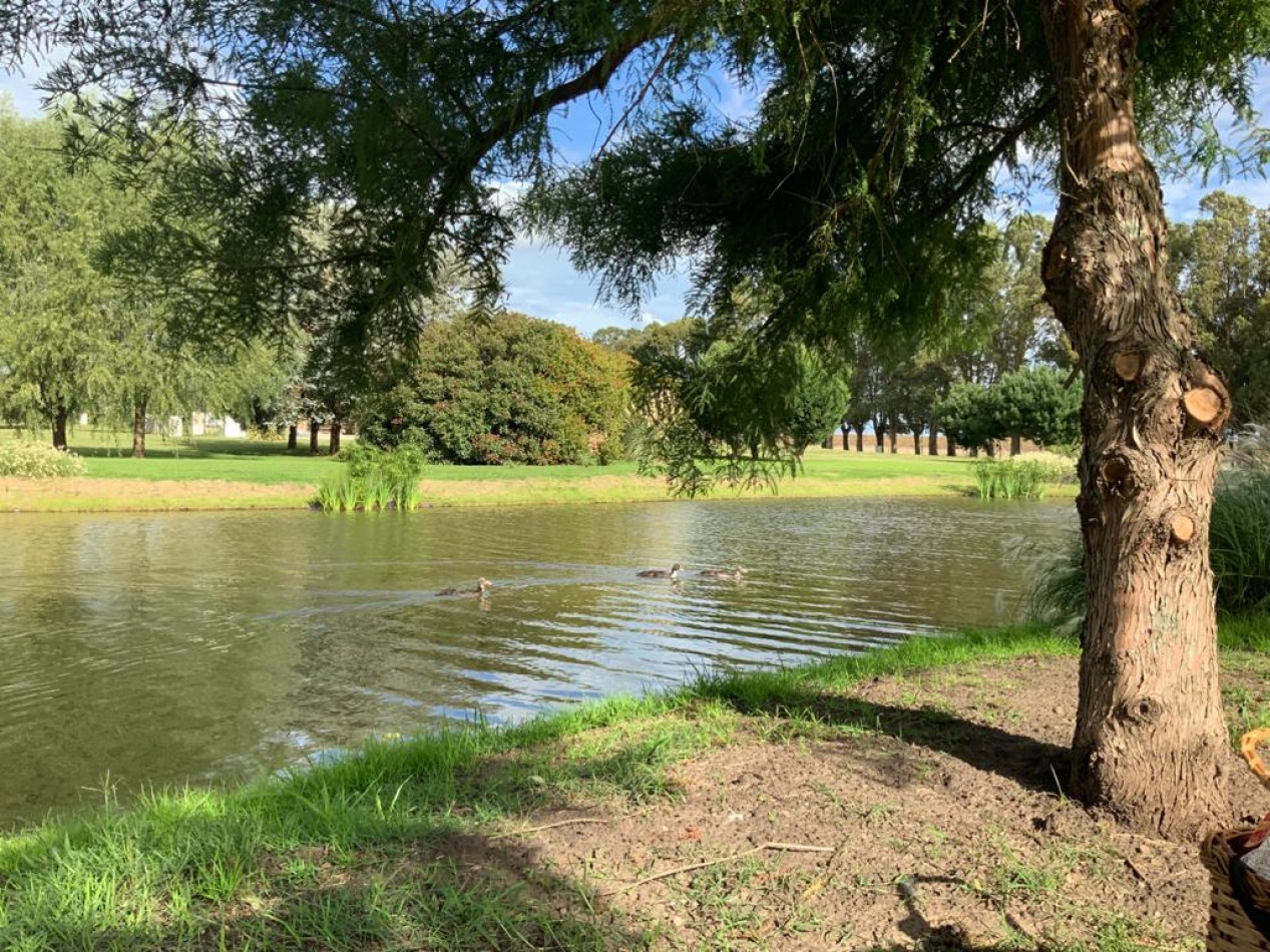 Lote en Country del Golf y Mar Los Acantilados.