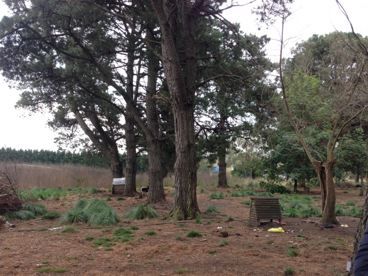 Fraccion de campo a 200 mts. de la Villa recreativa SUTERyH.