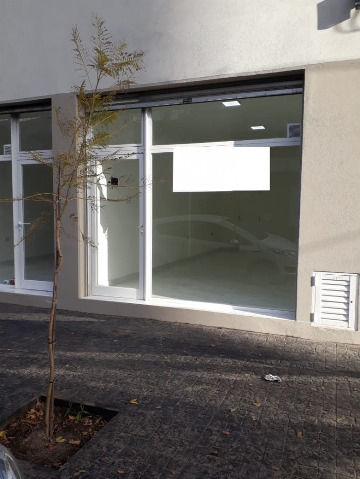 Local comercial. Macrocentro