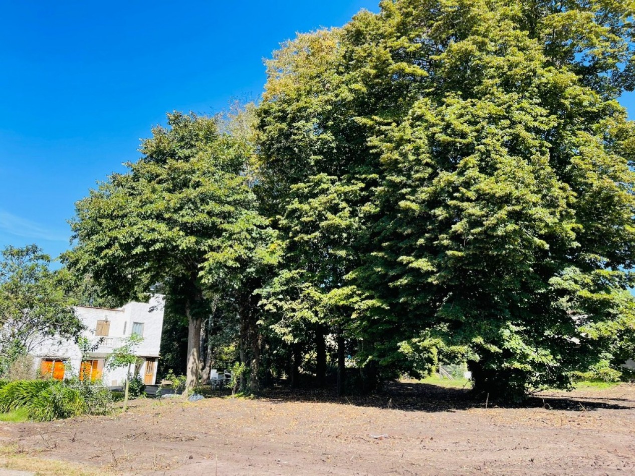 LOTE DE TERRENO EN SIERRA DE LOS PADRES