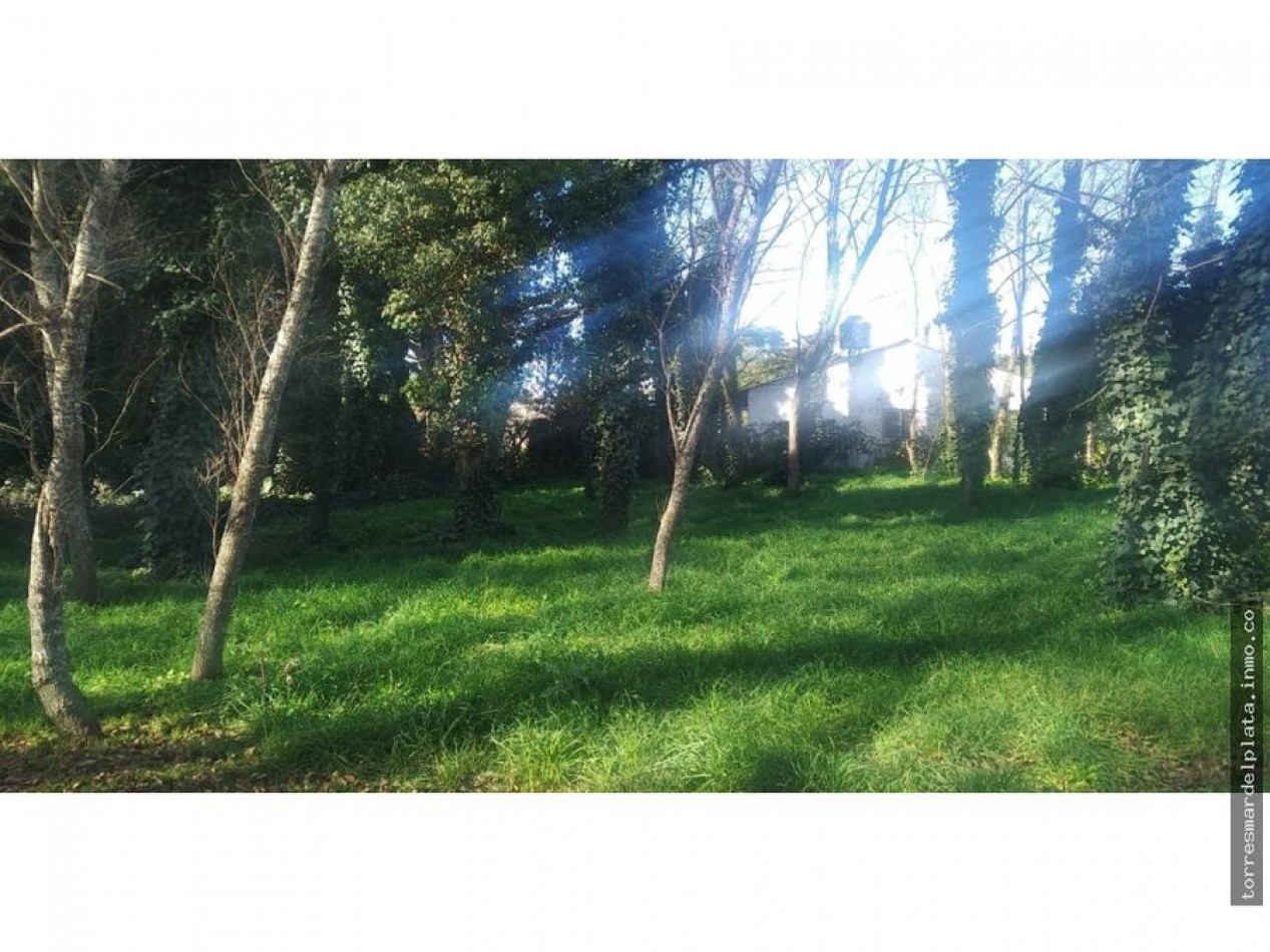 Lote en Colina Alegre.