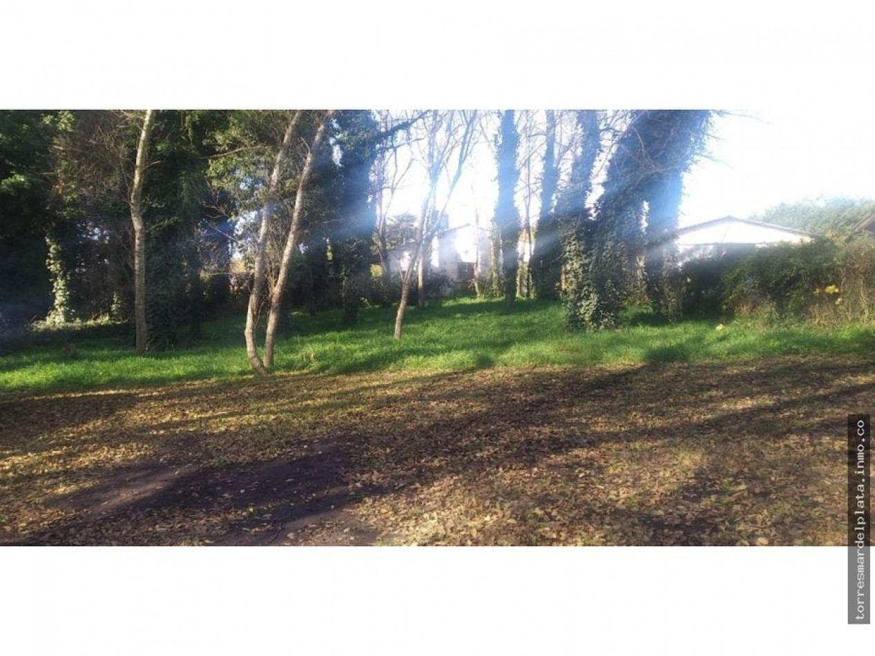 Lote en Colina Alegre.